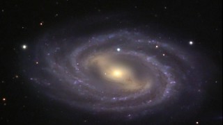 M109 (NGC 3992)
