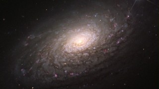 M63: Galaxia del Girasol  (NGC 5055)