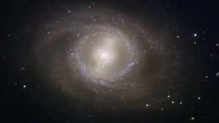 M95 (NGC 3351)