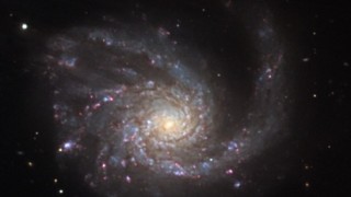 M99: Galaxia del Rehilete  (NGC 4254)