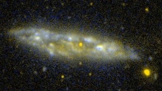 M108 (NGC 3556)