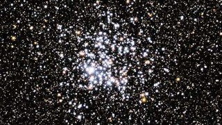 M11: Cúmulo del Pato Salvaje  (NGC 6705)