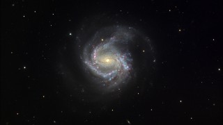M61 (NGC 4303)