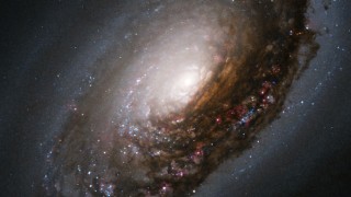 M64: Galaxia del Ojo Negro  (NGC 4826)