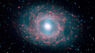 M95 (NGC 3351)