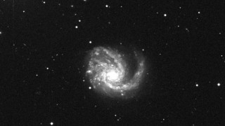 M99: Galaxia del Rehilete  (NGC 4254)